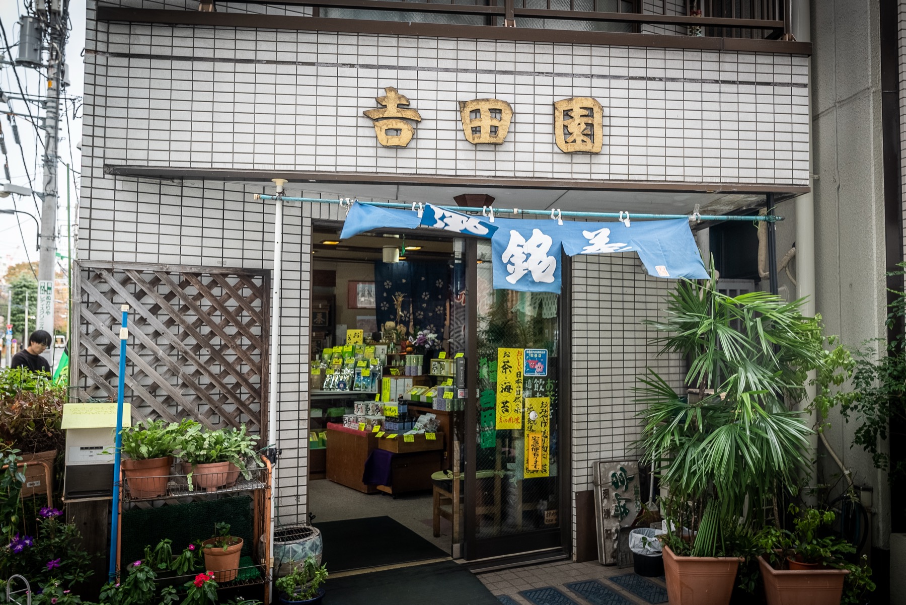 吉田園茶舗の店構え
